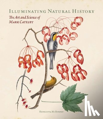 McBurney, Henrietta - Illuminating Natural History