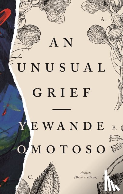 Omotoso, Yewande - An Unusual Grief