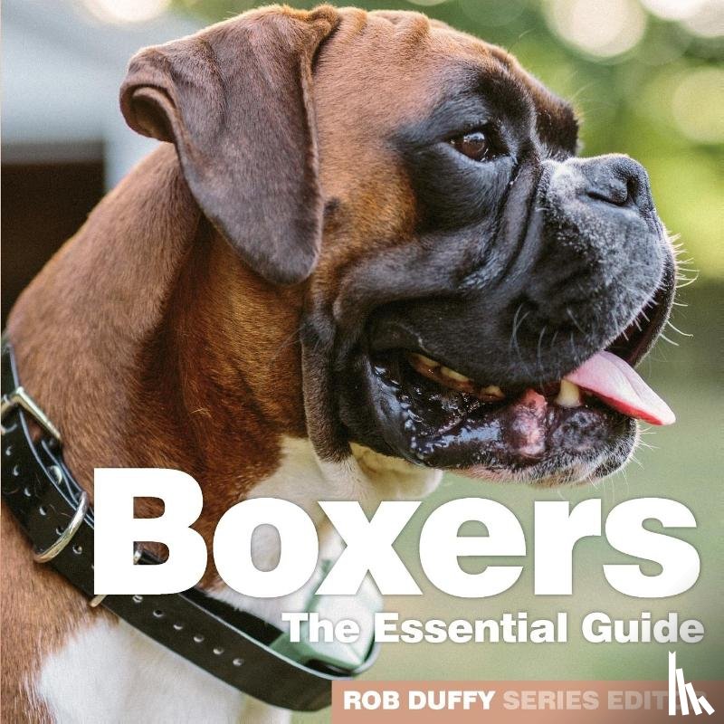  - Boxers