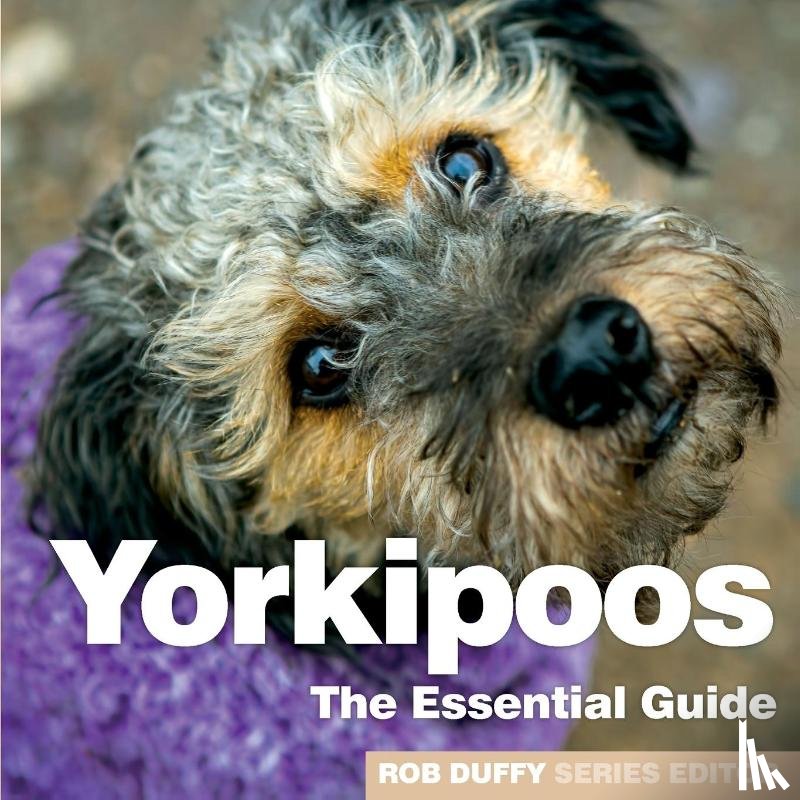  - Yorkipoos