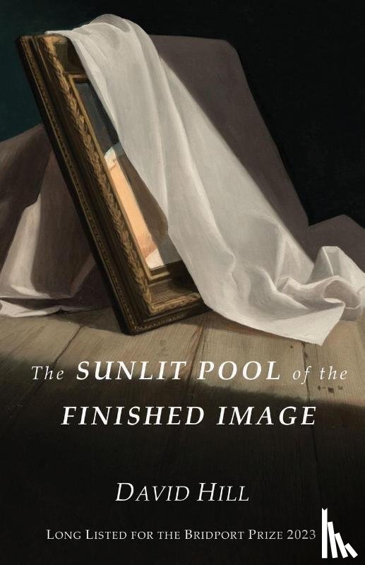 Hill, David - The Sunlit Pool of the Finished Image