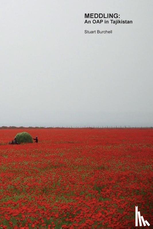 Burchell, Stuart - MEDDLING: An OAP in Tajikistan