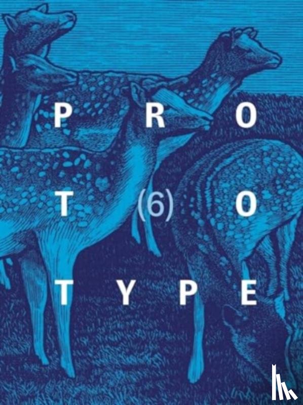  - PROTOTYPE 6