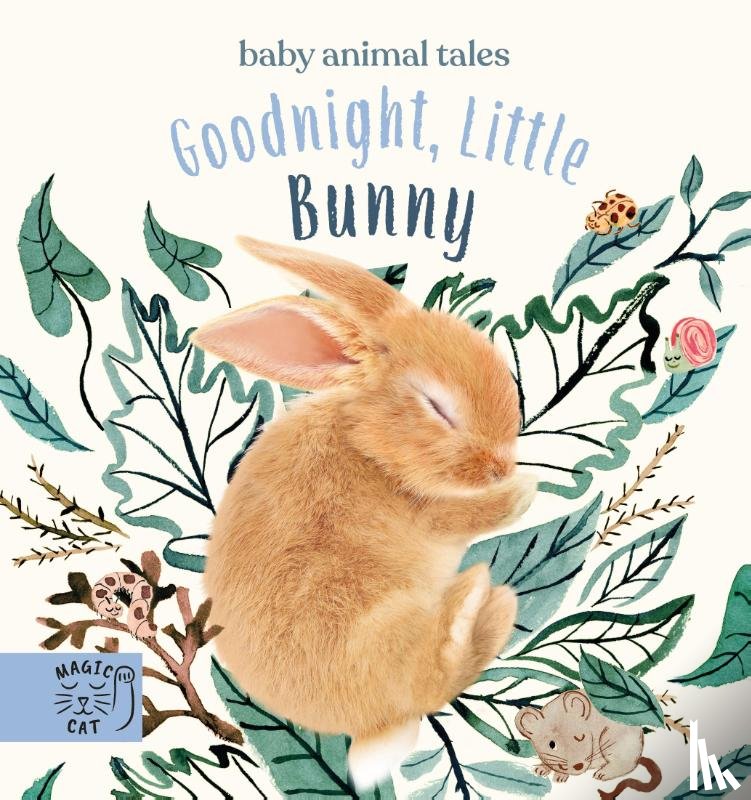 Wood, Amanda - Goodnight, Little Bunny