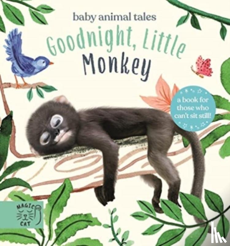 Wood, Amanda - Goodnight, Little Monkey