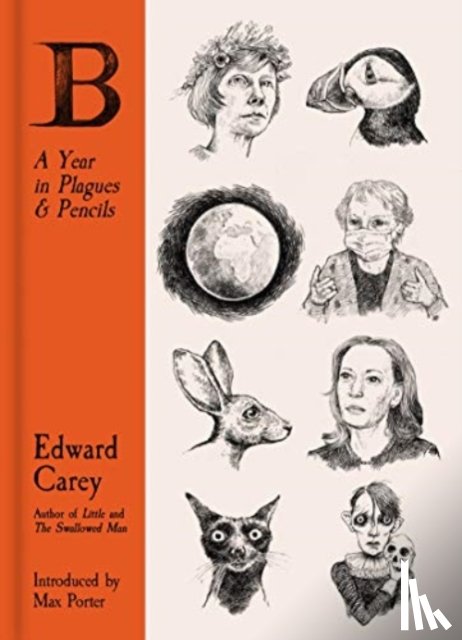 Carey, Edward - B: A Year in Plagues and Pencils