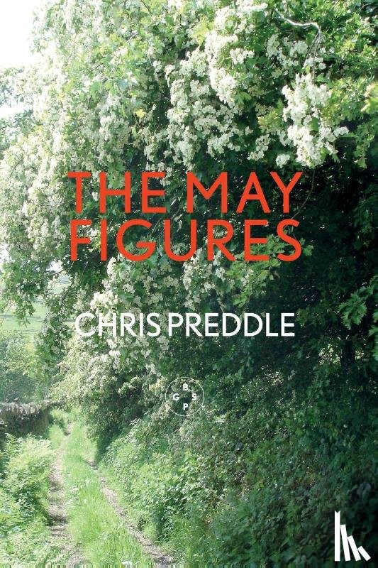 Preddle, Chris - The May Figures
