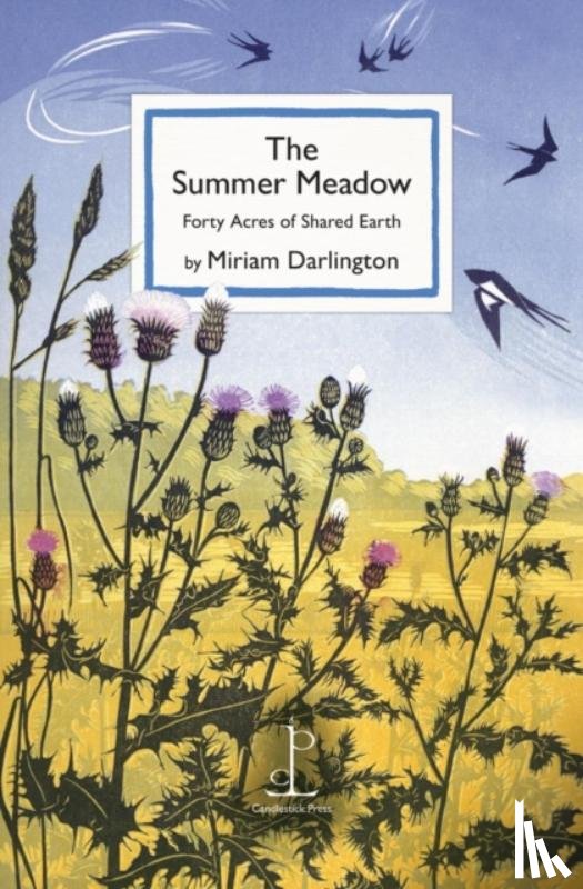 Darlington, Miriam - The Summer Meadow