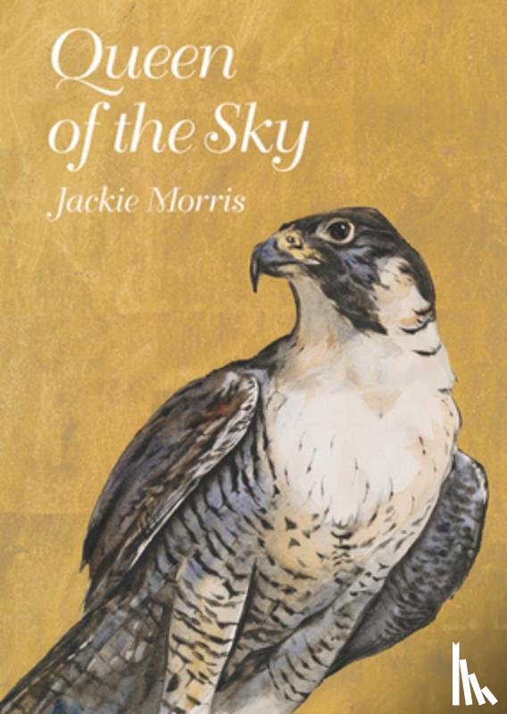 Morris, Jackie - Queen of the Sky