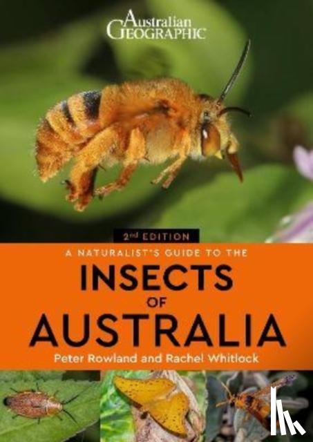 Rowland, Peter - A Naturalist's Guide to the Insects of Australia