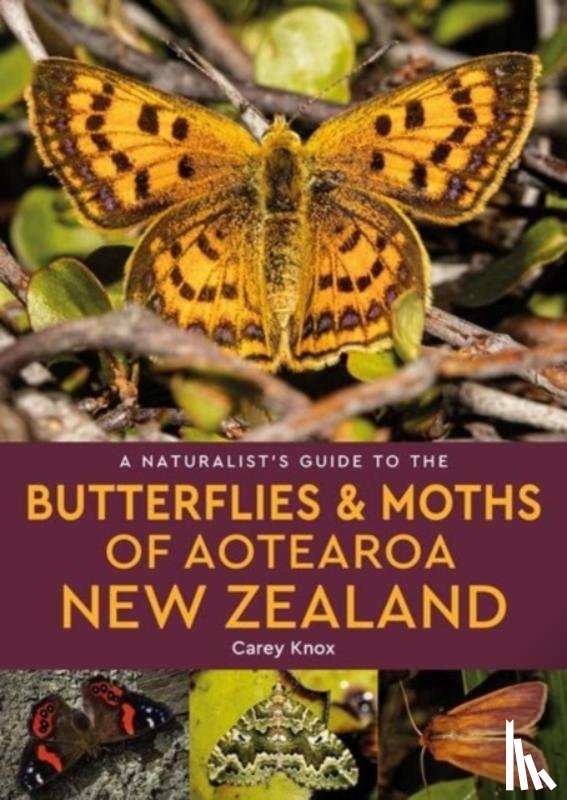 Knox, Carey - A Naturalist's Guide to the Butterflies & Moths of Aotearoa New Zealand
