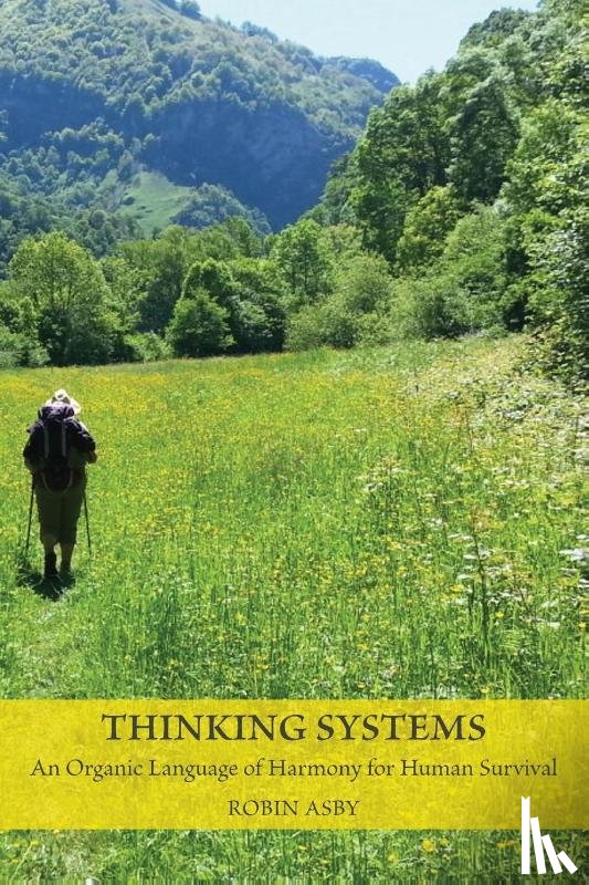 Asby, Robin - Thinking Systems
