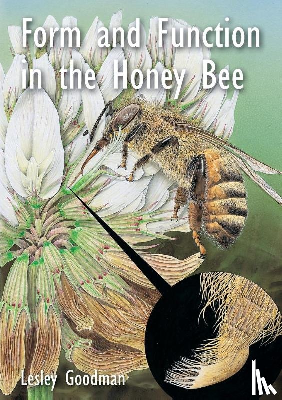 Goodman, Lesley - Form and Function in the Honey Bee