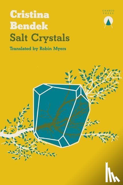 Bendek, Cristina - Salt Crystals
