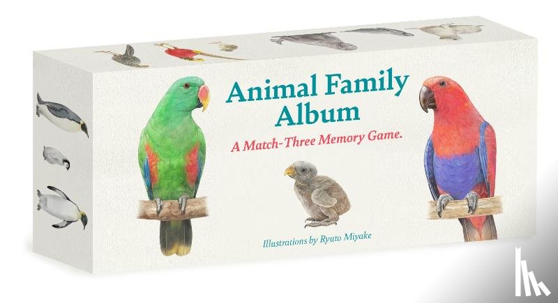King Publishing, Laurence - Animal Family Match