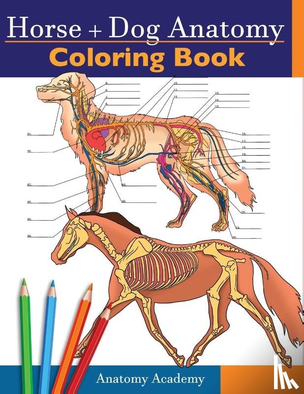 Academy, Anatomy - Horse + Dog Anatomy Coloring Book