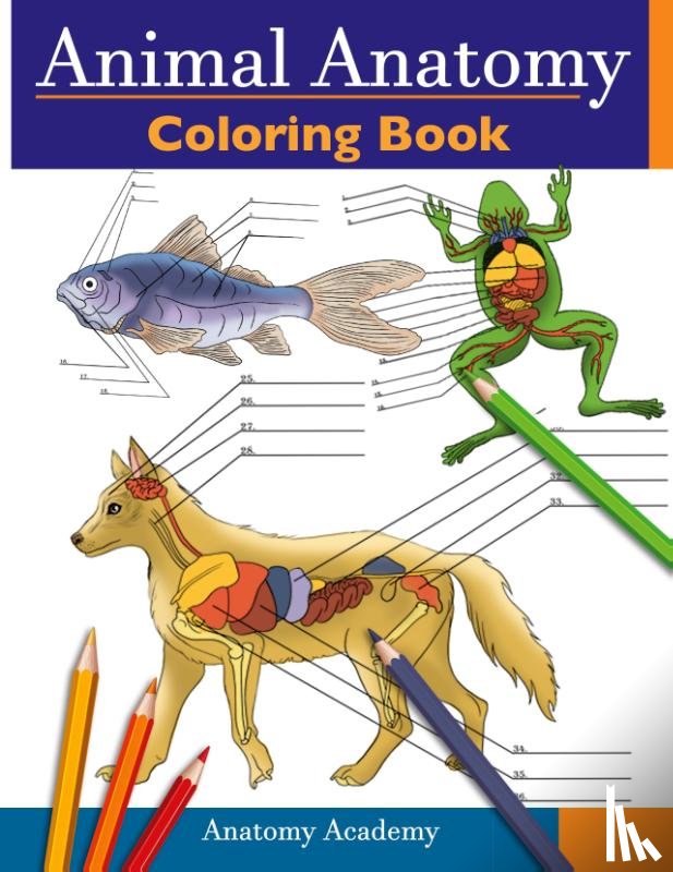Academy, Anatomy - Animal Anatomy Coloring Book