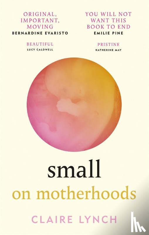 Lynch, Claire - Small: On Motherhoods