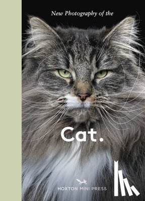 Press, Hoxton Mini - New Photography of the Cat.