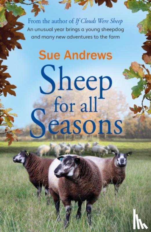 Andrews, Sue - Sheep For All Seasons
