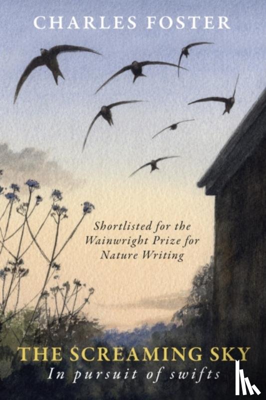 Foster, Charles - The Screaming Sky