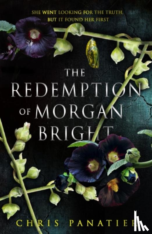 Panatier, Chris - The Redemption of Morgan Bright