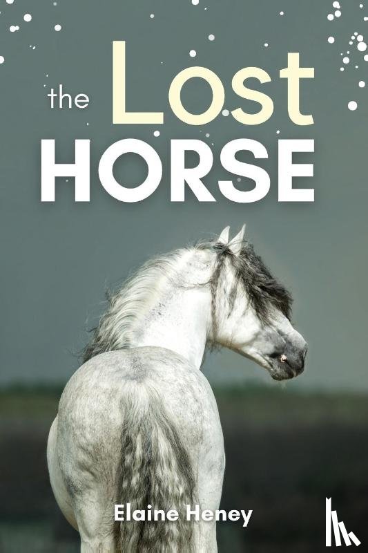 Heney, Elaine - The Lost Horse