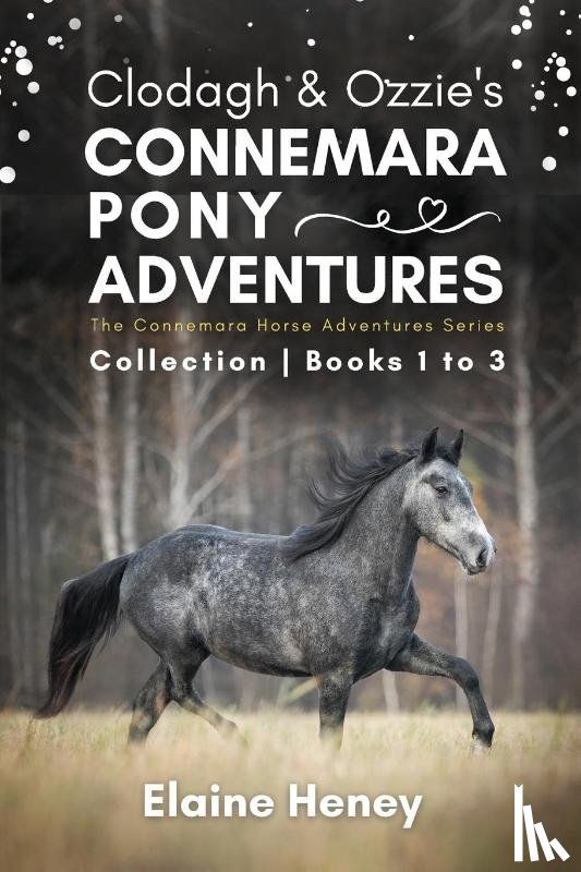 Heney, Elaine - Clodagh & Ozzie's Connemara Pony Adventures