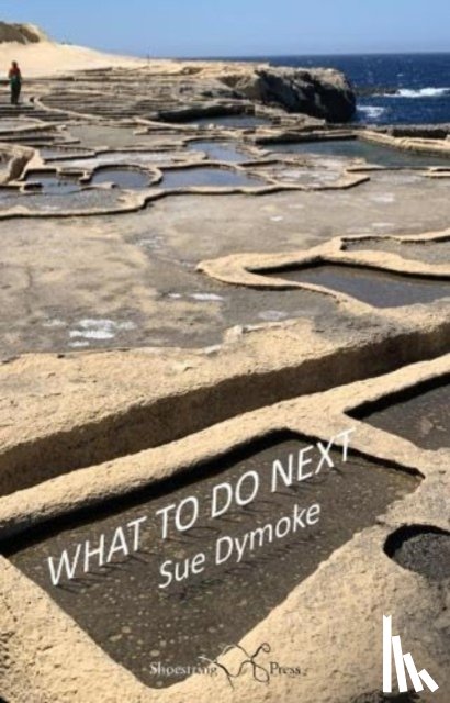 Dymoke, Sue - What To Do Next