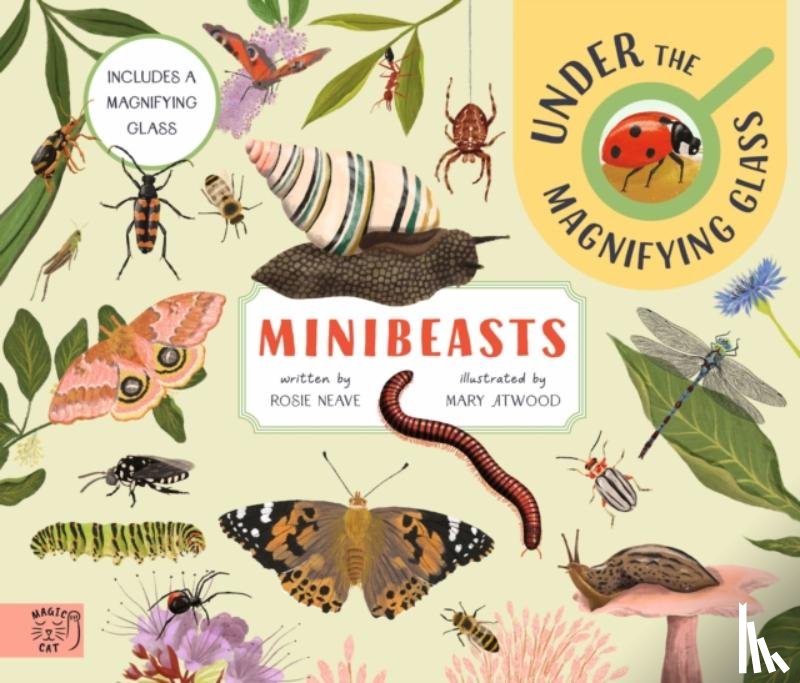 Neave, Rosie - Minibeasts: Under the Magnifying Glass