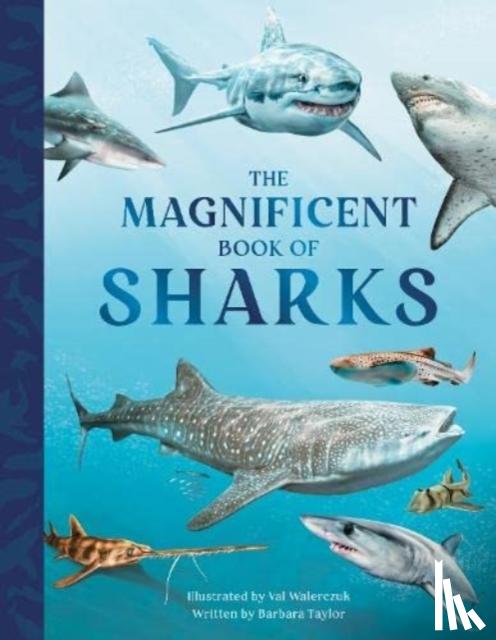 Taylor, Barbara - The Magnificent Book of Sharks