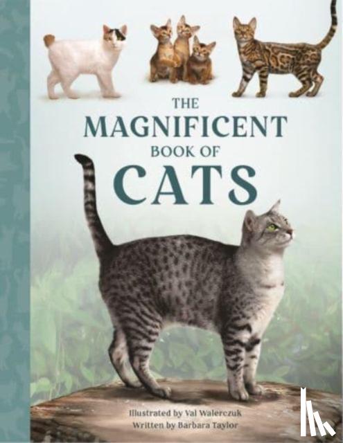 Taylor, Barbara - The Magnificent Book of Cats