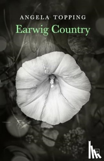 Topping, Angela - Earwig Country