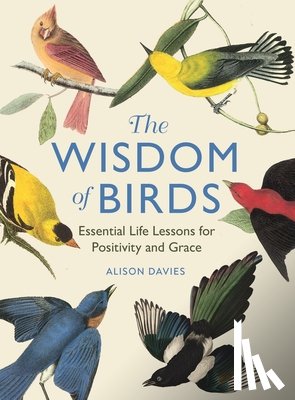 Davies, Alison - The Wisdom of Birds