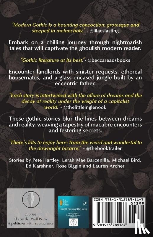 Mae Barcenilla, Lerah, Archer, Lauren, Biggin, Rose, Bird, Michael - Modern Gothic