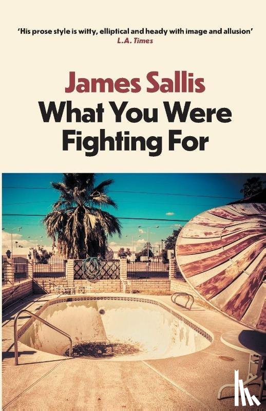 Sallis, James - What You Were Fighting For
