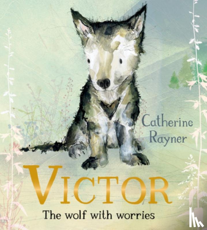Rayner, Catherine - Victor, the Wolf with Worries