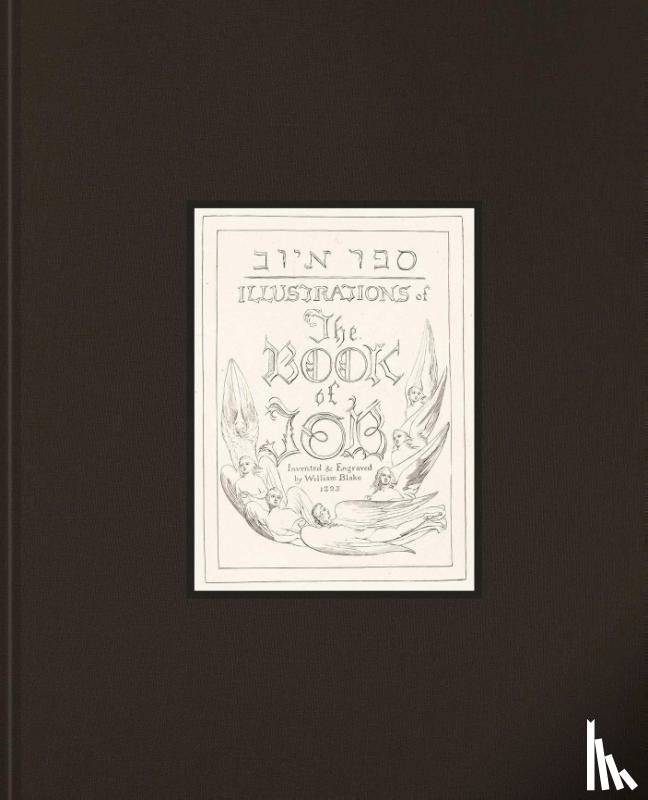 Dell, Katharine, Viscomi, Joseph - Illustrations of the Book of Job
