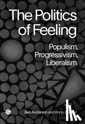 Anderson, Ben, Secor, Anna - The Politics of Feeling