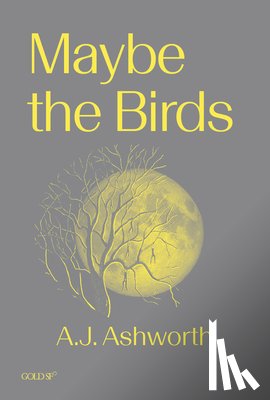 Ashworth, A. J. - Maybe the Birds