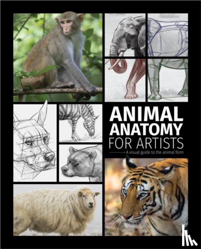  - Animal Anatomy for Artists