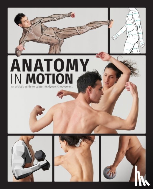  - Anatomy in Motion