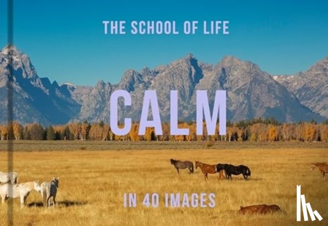of Life, The School - Calm in 40 Images
