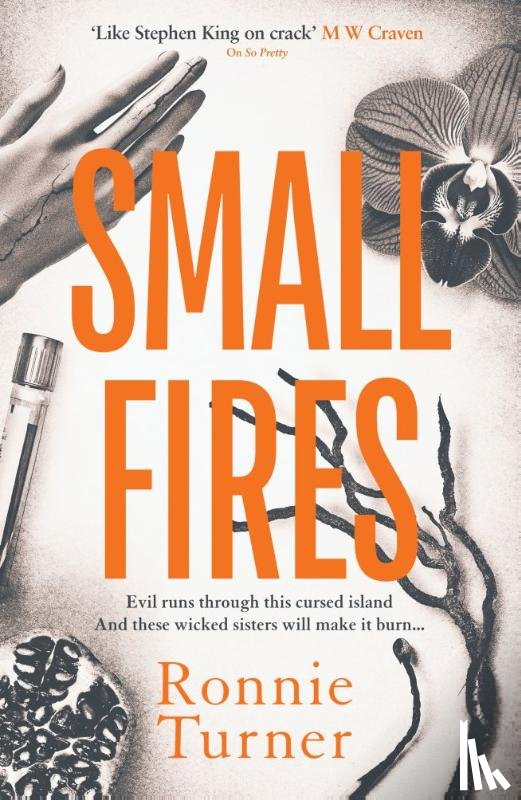 Turner, Ronnie - Small Fires