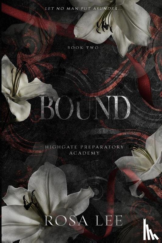 Lee, Rosa - Bound