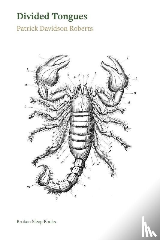 Roberts, Patrick Davidson - Divided Tongues