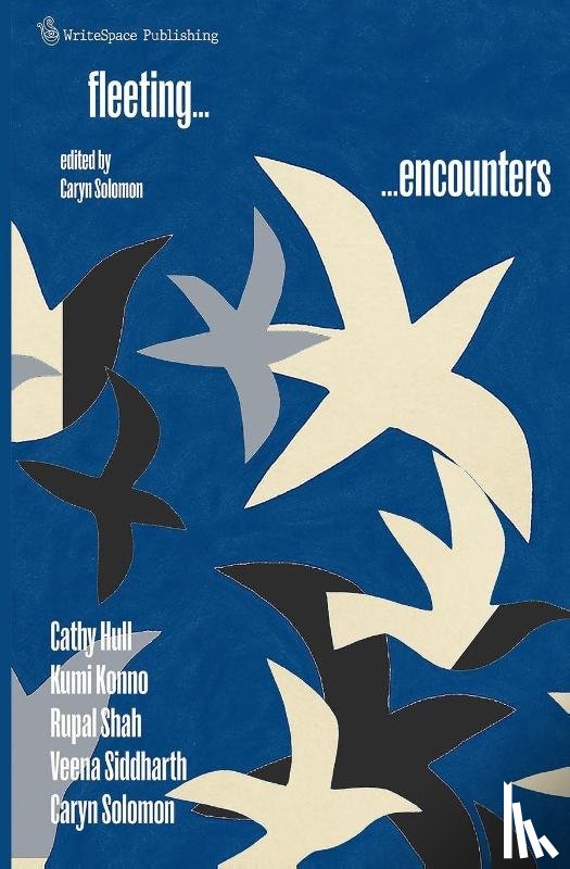 Solomon, Caryn, Shah, Rupal, Hull, Cathy - Fleeting Encounters