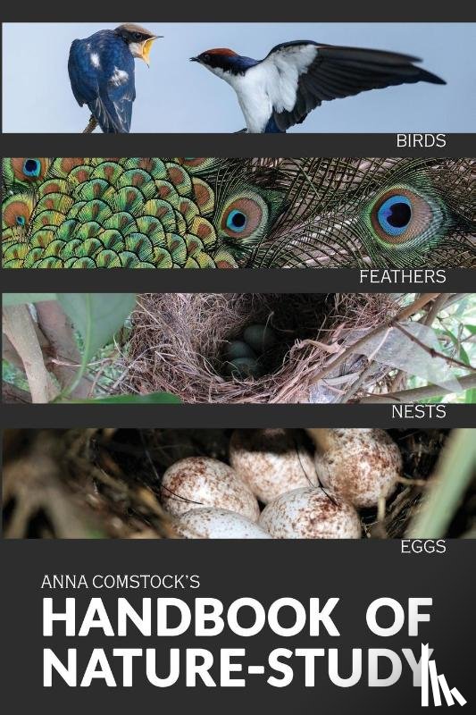 Comstock, Anna B - The Handbook Of Nature Study in Color - Birds
