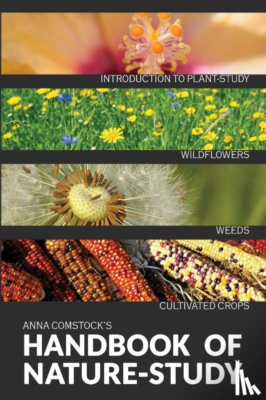 Comstock, Anna B - The Handbook Of Nature Study in Color - Wildflowers, Weeds & Cultivated Crops