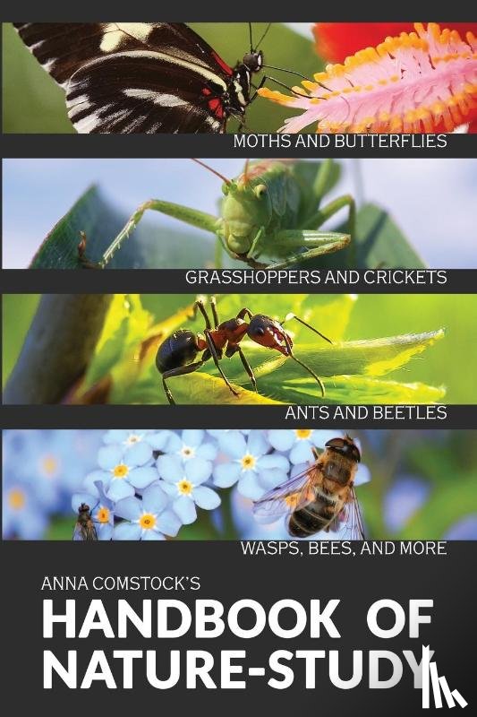 Comstock, Anna B - The Handbook Of Nature Study in Color - Insects